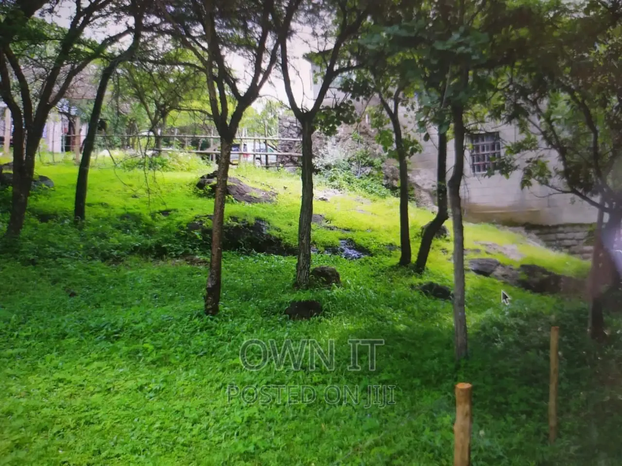 125 Acre Farm in Kitale