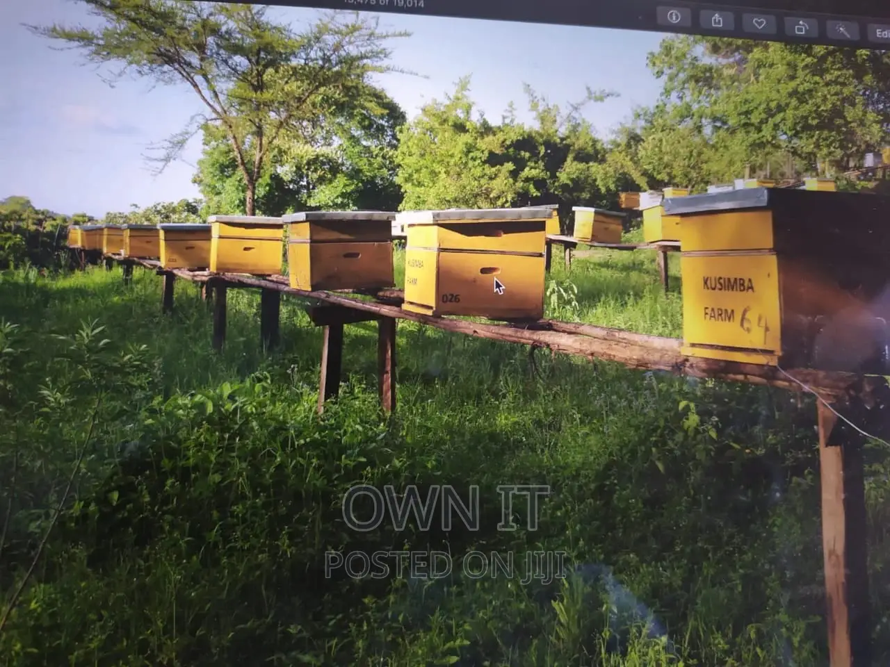 125 Acre Farm in Kitale in Saboti Land & Plots for Sale, Solomon