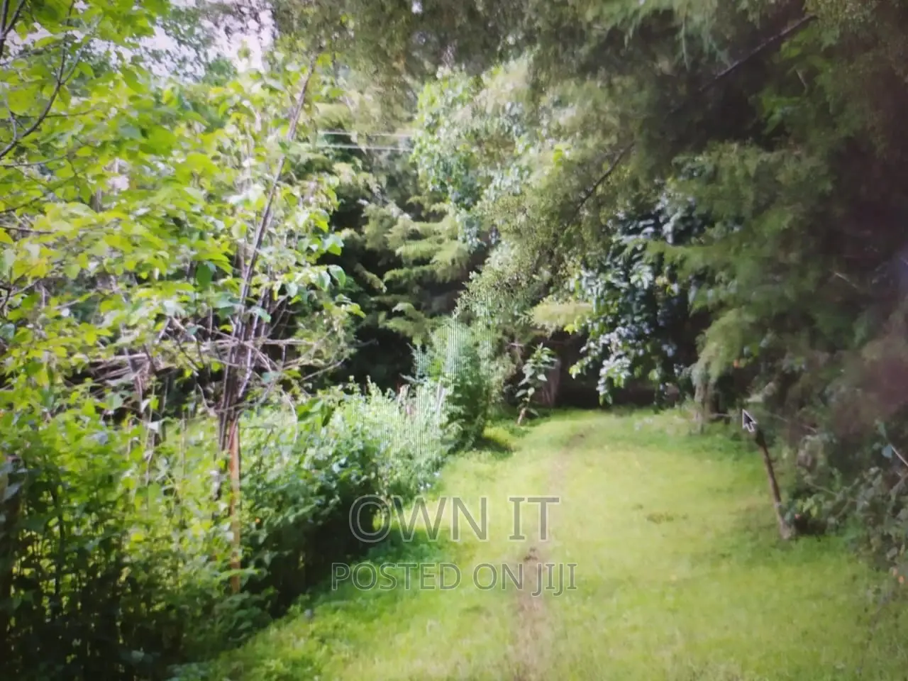 125 Acre Farm in Kitale in Saboti Land & Plots for Sale, Solomon