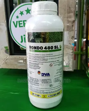 Rondo 480 Sl