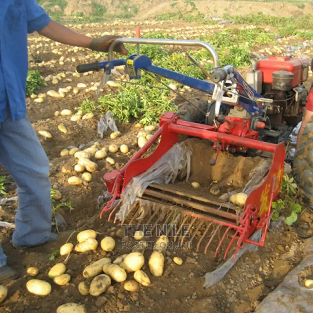Potato Harvester Tiller
