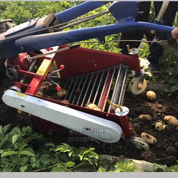 Harvesters for Planting Potatoes - thumbnail 3