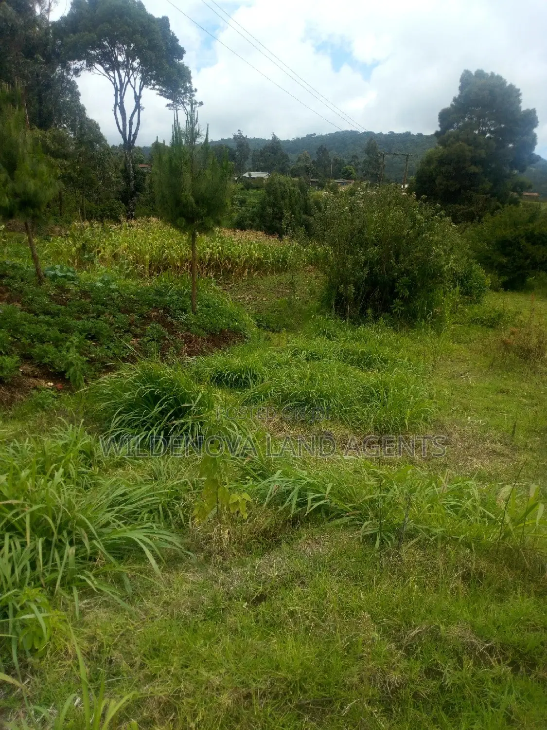 2 Acres on Sale at Kimende Kiambu