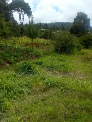 2 Acres on Sale at Kimende Kiambu