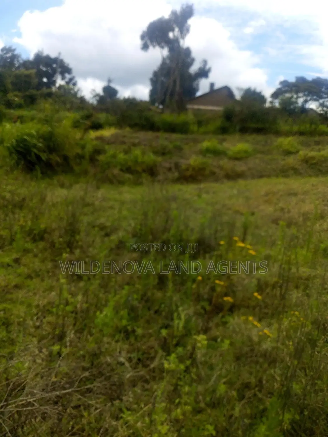 2 Acres on Sale at Kimende Kiambu