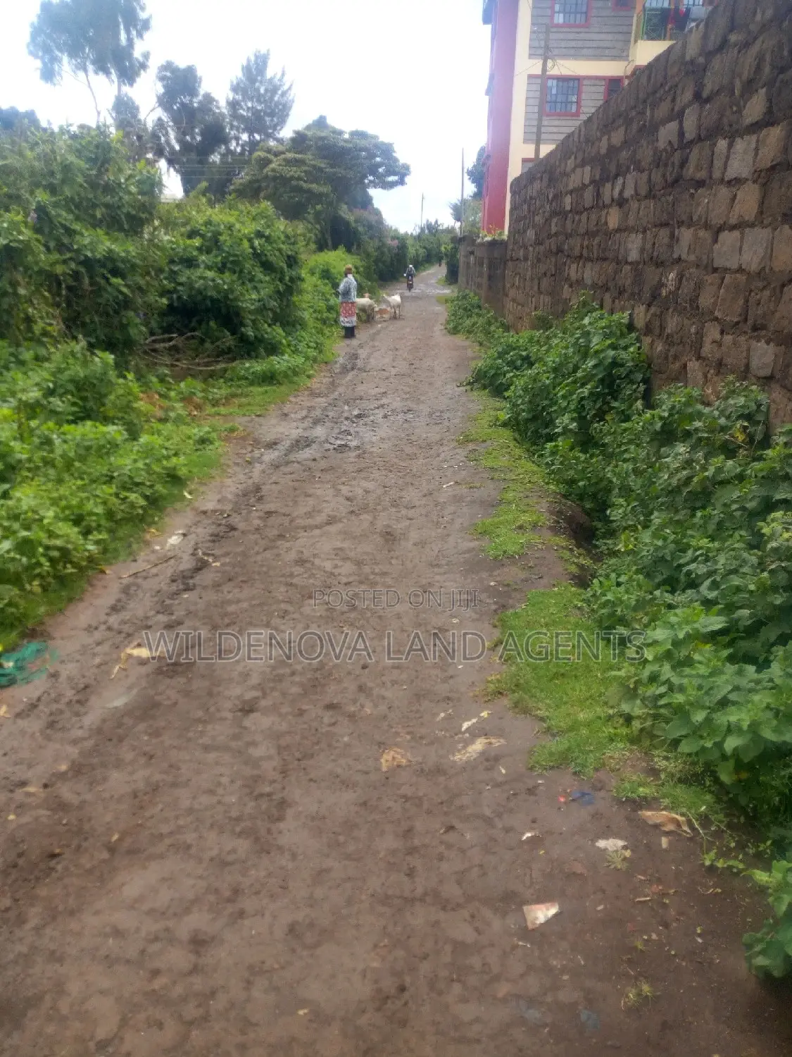 2 Acres on Sale at Kimende Kiambu