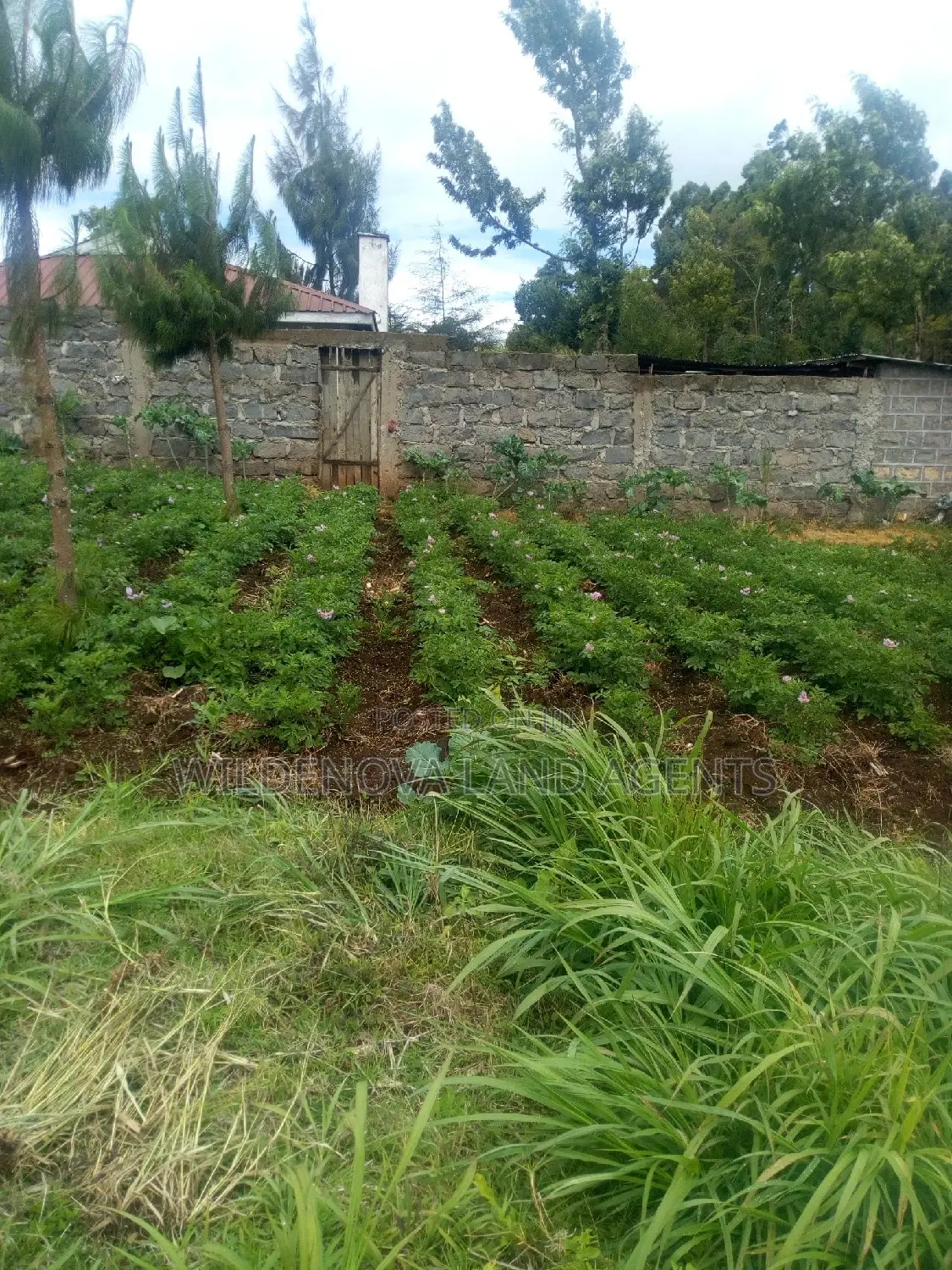 2 Acres on Sale at Kimende Kiambu