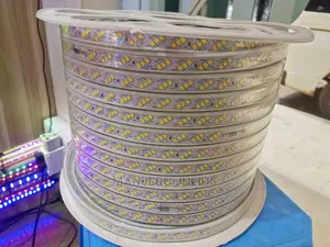 Triple Line Warm White Snake Light