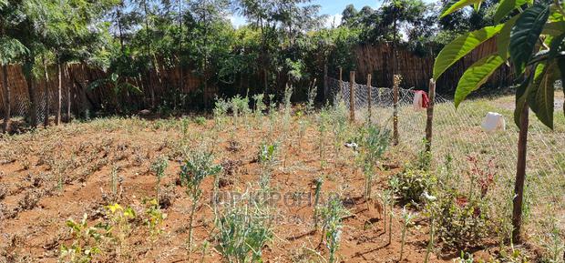 2bdrm Bungalow in Kuinet for Sale - thumbnail 9