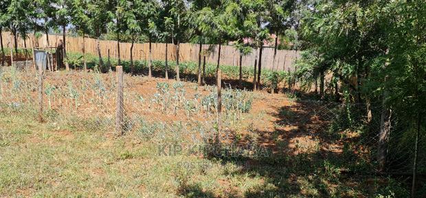 2bdrm Bungalow in Kuinet for Sale - thumbnail 11