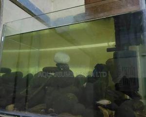 Aquarium Rock Aquascaping - thumbnail 2