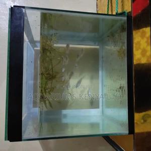 Small Aquarium Tanks - thumbnail 2