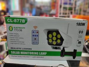 Solar Monitoring Lamp