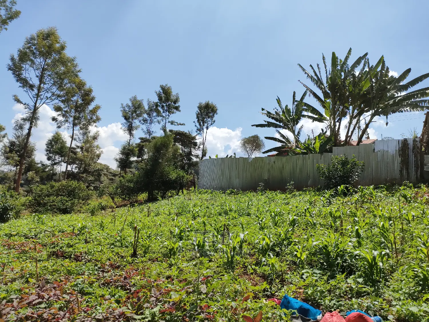Nyeri/Majengo Residential House on Sale