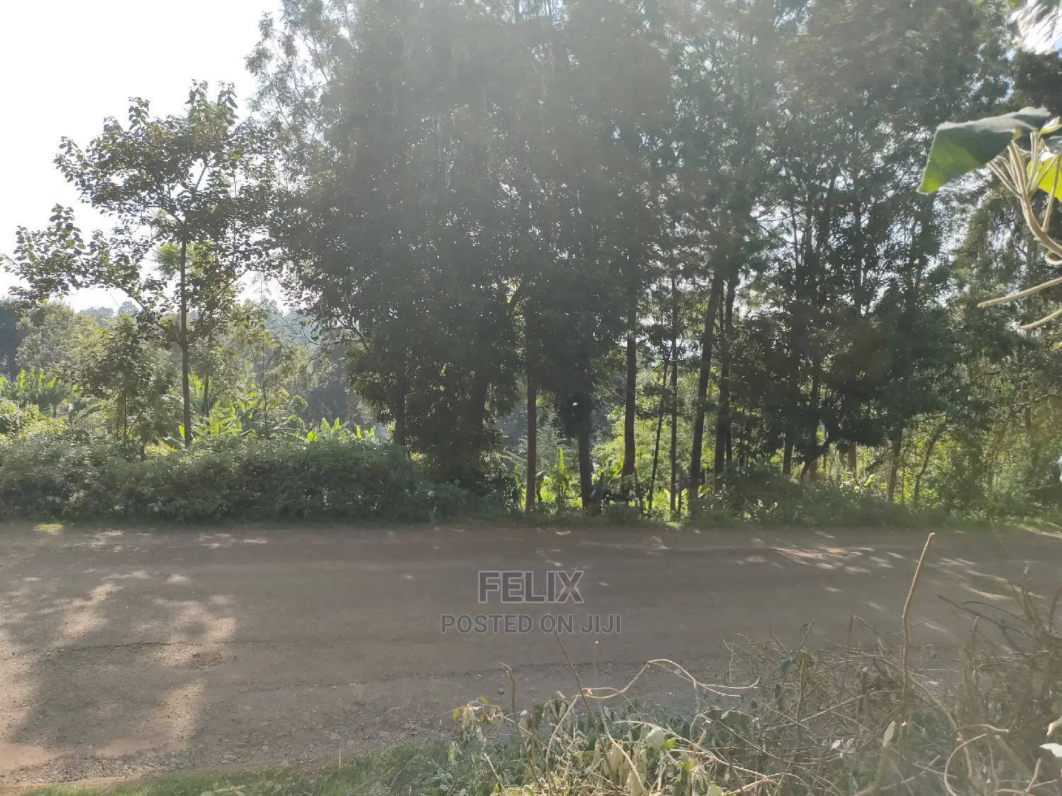 Karatina/Kiamachimbi Half Acre Touching Tarmac