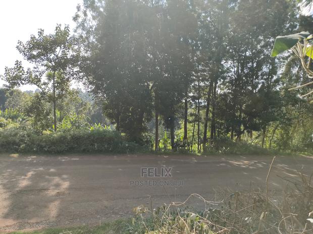 Karatina/Kiamachimbi Half Acre Touching Tarmac - thumbnail 4