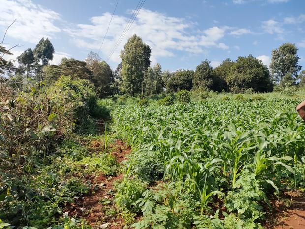 Karatina/Kiamachimbi Half Acre Touching Tarmac - thumbnail 3