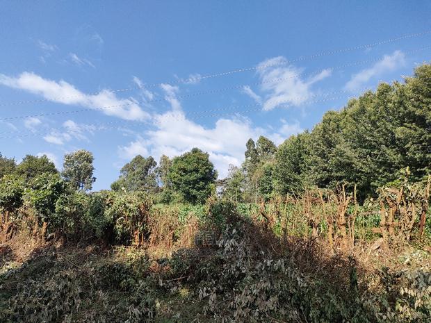 Karatina/Kiamachimbi Half Acre Touching Tarmac - thumbnail 9