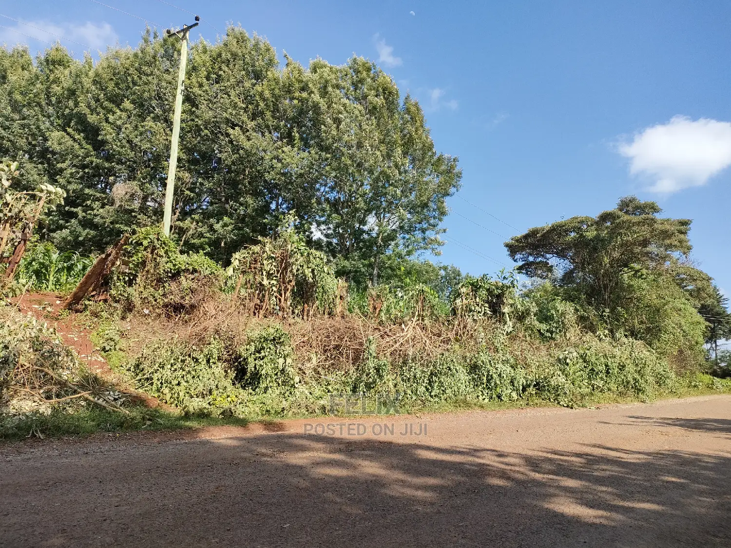 Karatina/Kiamachimbi Half Acre Touching Tarmac