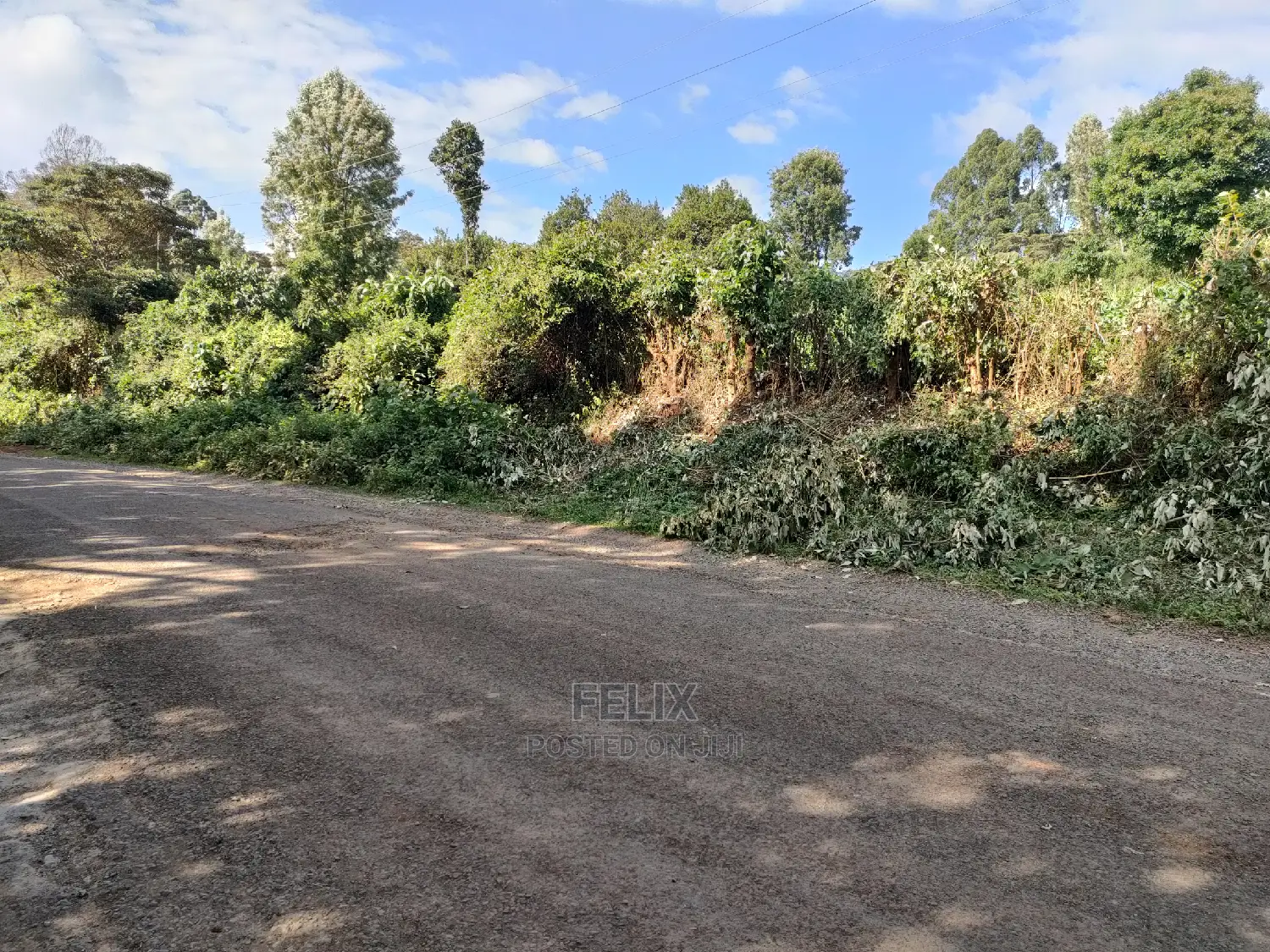 Karatina/Kiamachimbi Half Acre Touching Tarmac