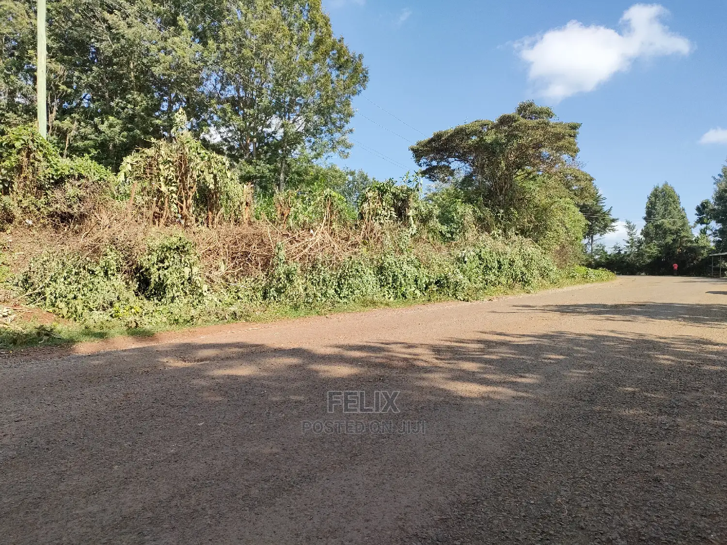 Karatina/Kiamachimbi Half Acre Touching Tarmac