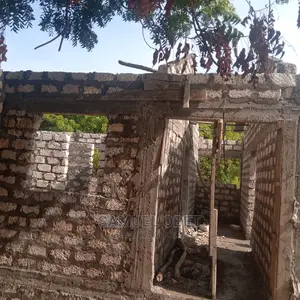 Building and Renovation Services