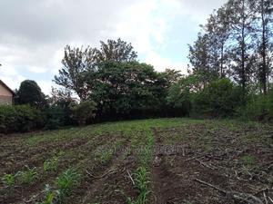 1/4 Acre Residential Plot on Sale at Ruiru Membley Estate - thumbnail 2