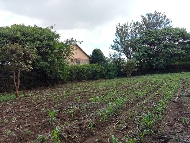 1/4 Acre Residential Plot on Sale at Ruiru Membley Estate - thumbnail 9