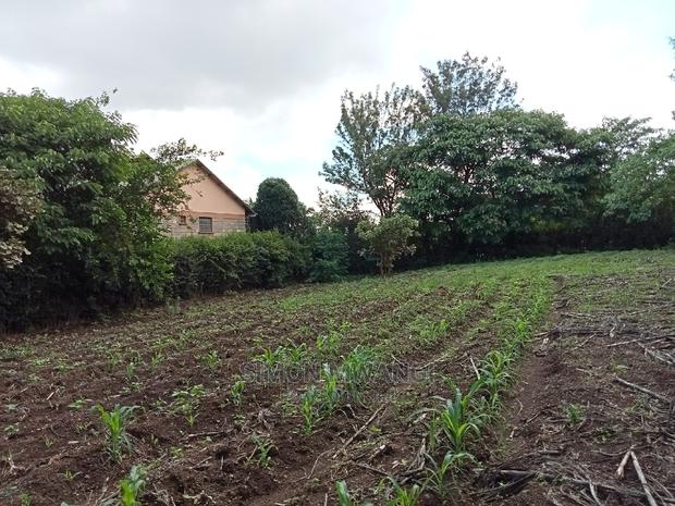 1/4 Acre Residential Plot on Sale at Ruiru Membley Estate - thumbnail 5