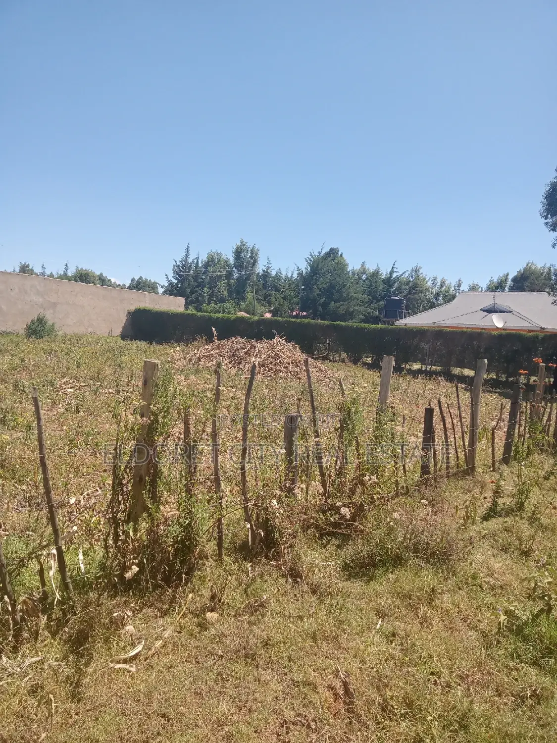 1/4 Plot With Title Kapseret