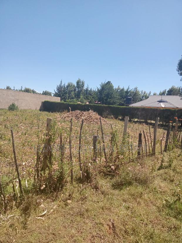 1/4 Plot With Title Kapseret