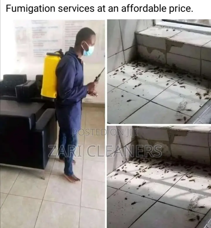 Fumigation and Cleaning