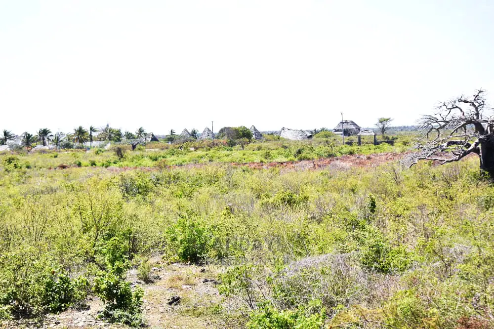 Watamu Beachfront Land for Sale