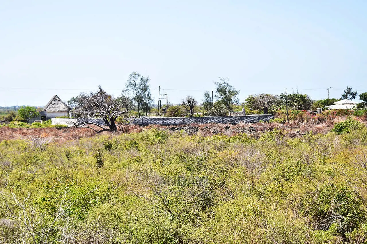 Watamu Beachfront Land for Sale