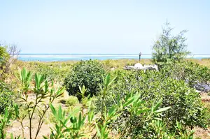 Watamu Beachfront Land for Sale