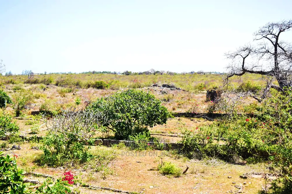 Watamu Beachfront Land for Sale