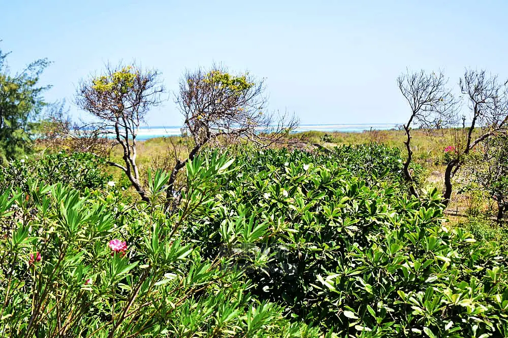 Watamu Beachfront Land for Sale