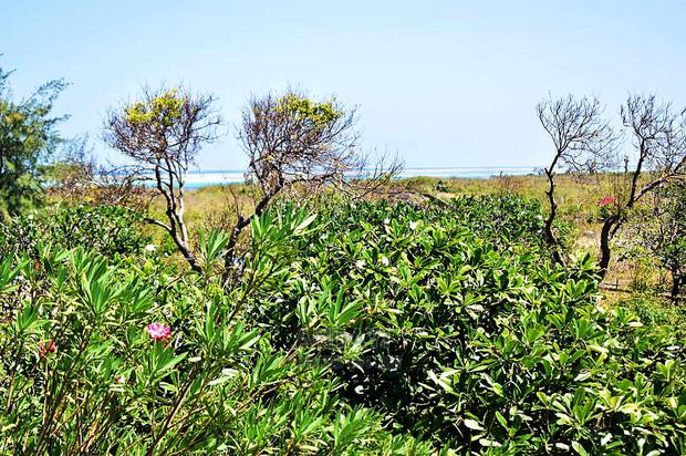 Watamu Beachfront Land for Sale - thumbnail 8