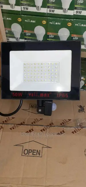 50wlts Floodlight With Sensor