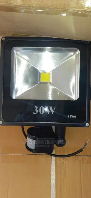30wlt Floodlight With Sensor