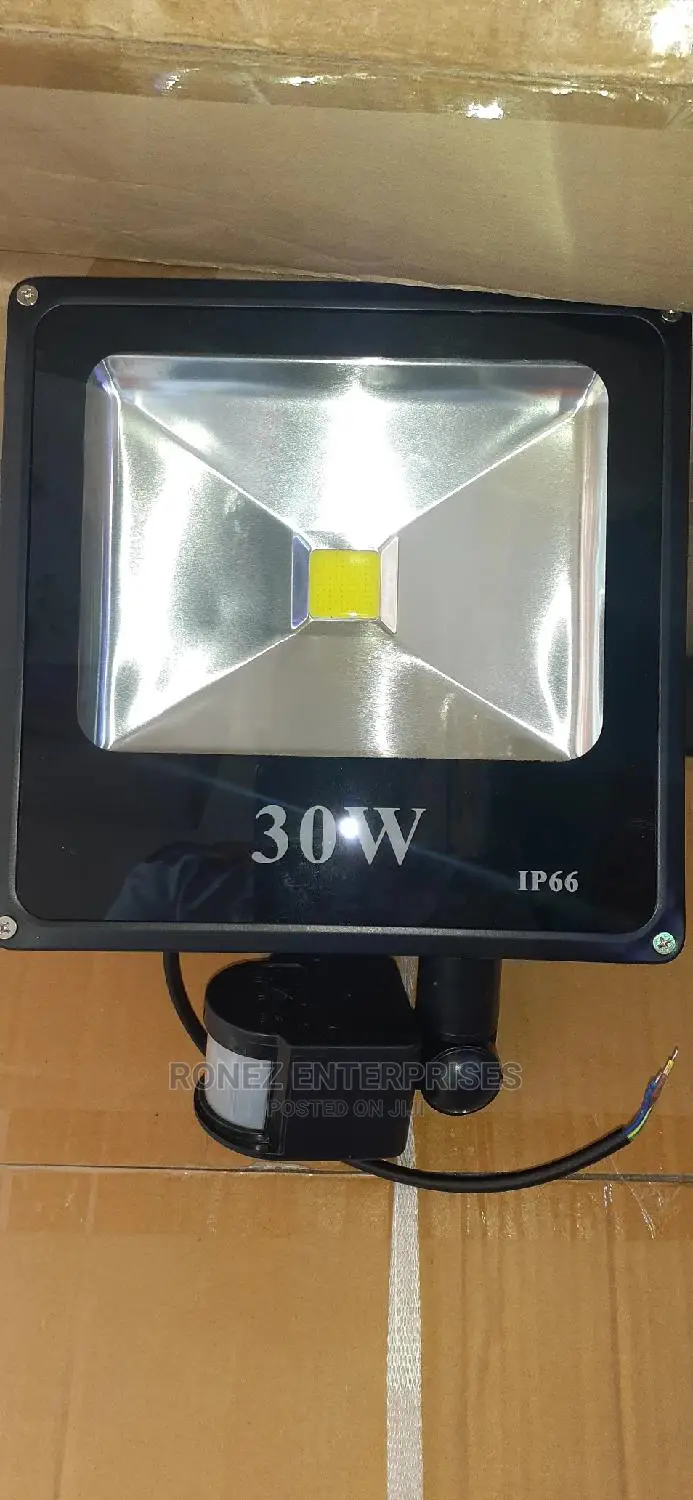 30wlt Floodlight With Sensor