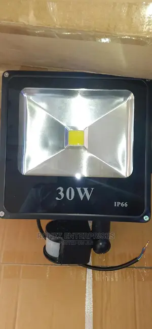 30wlt Floodlight With Sensor