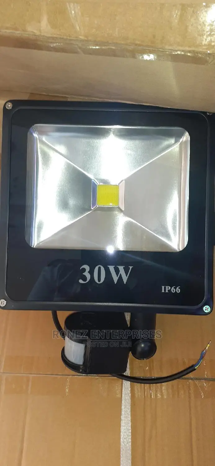 30wlt Floodlight With Sensor