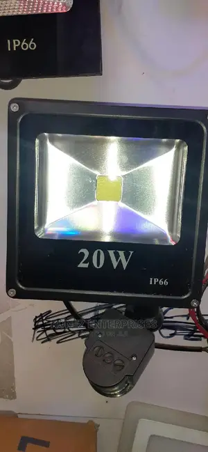 20wlt Floodlight With Sensor