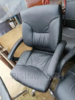 Low Back Design Best Quality Office Chairs