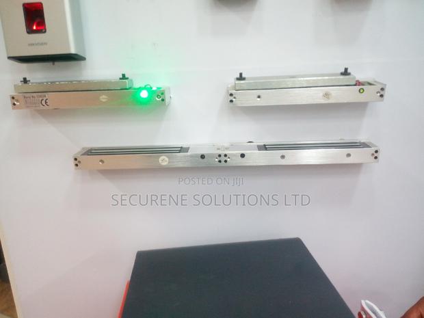 Double Door Magnetic Lock