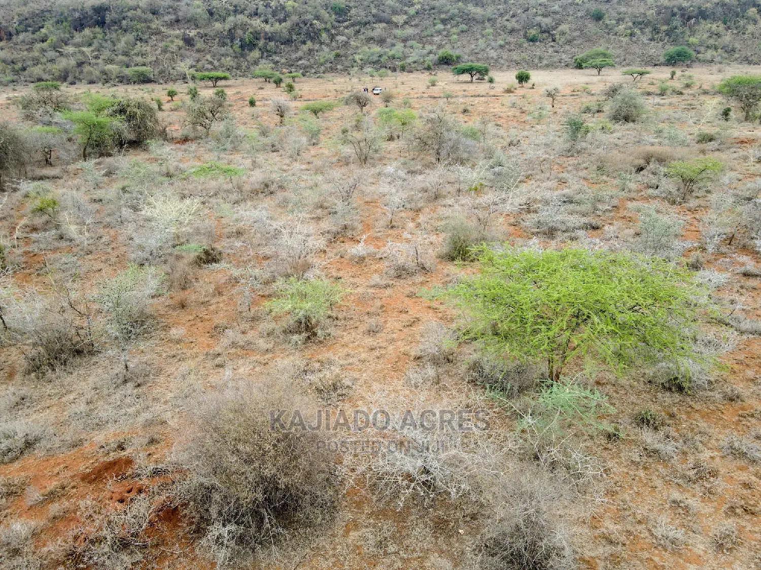 45 Acres Saikeri at 850k Per Acre in Olkeri Land & Plots for Sale
