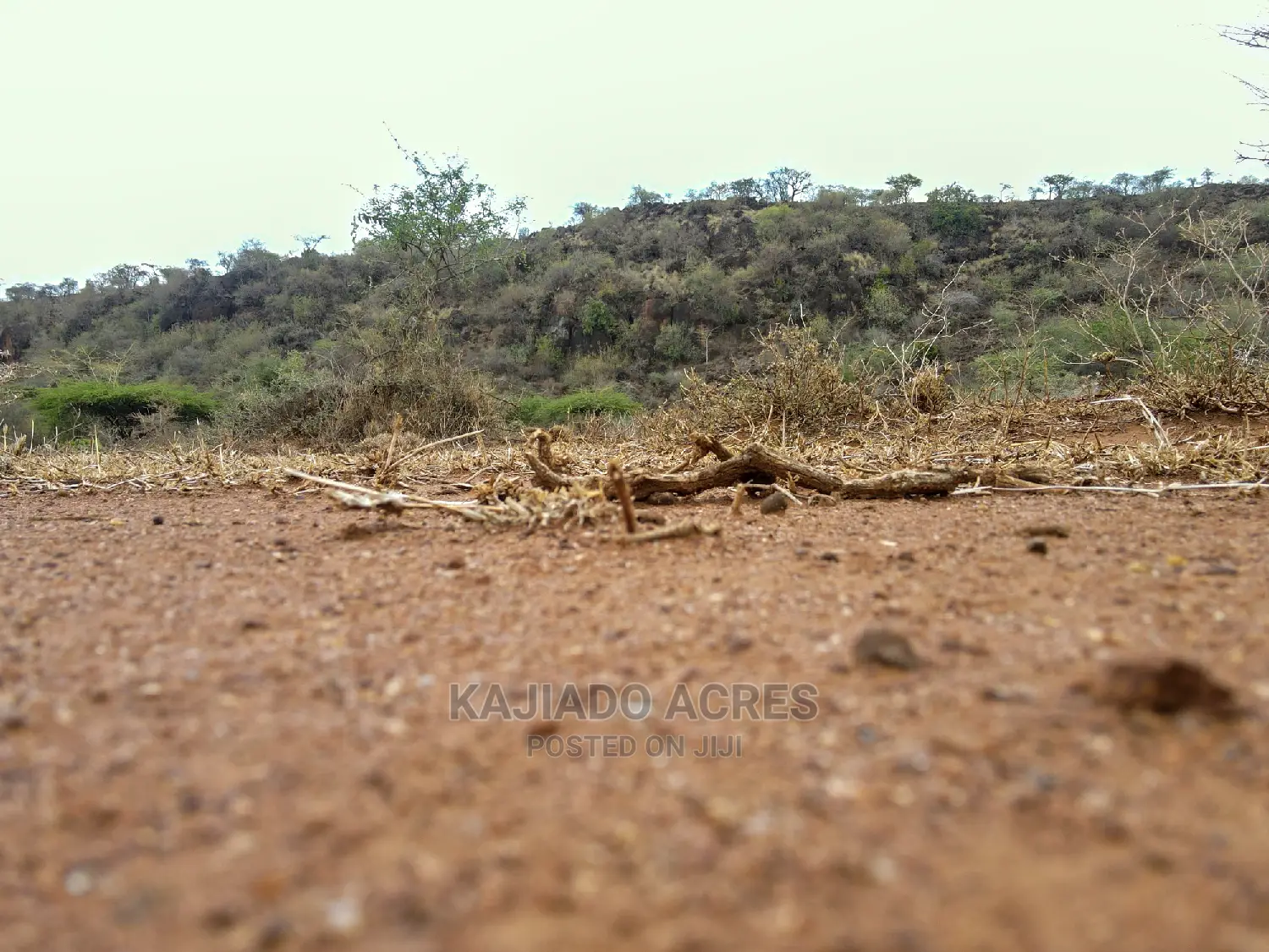 45 Acres Saikeri at 850k Per Acre