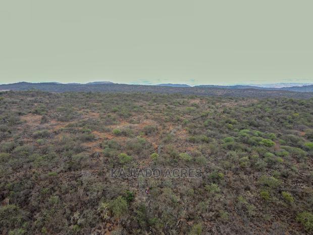 45 Acres Saikeri at 850k Per Acre - thumbnail 4