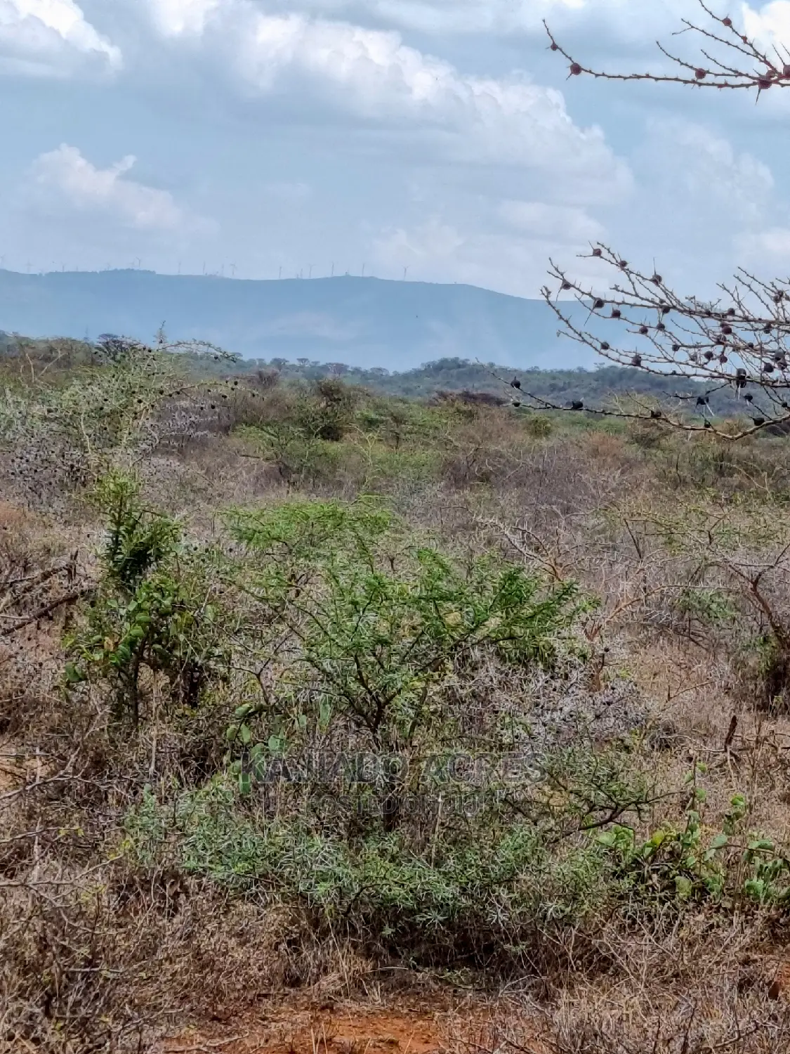 45 Acres Saikeri at 850k Per Acre